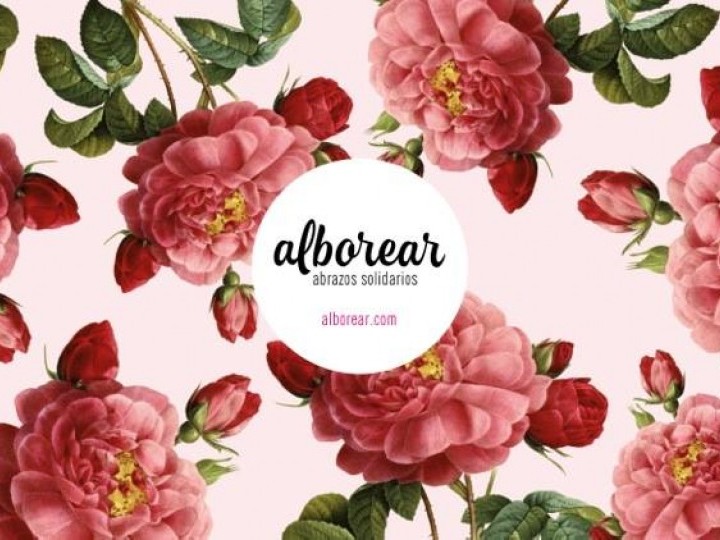 Alborear presenta su segundo producto